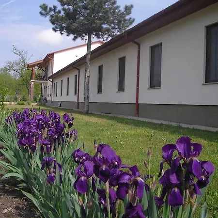 ゲストハウス Anna Panzio 3*