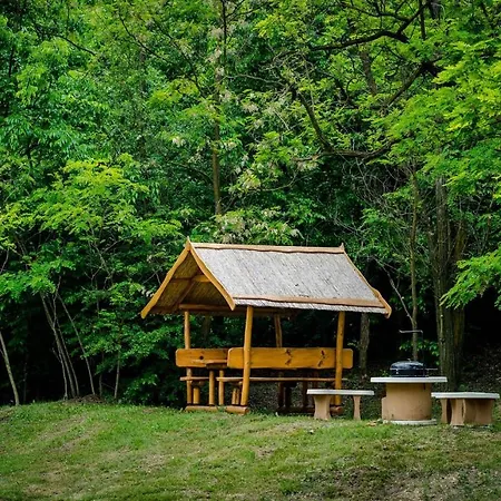 Anna Panzio Pensiune Dunavarsány